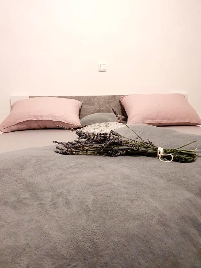 Apartman Školj Jovici  Exteriér fotografie